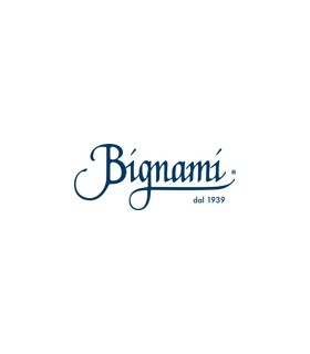 BIGNAMI SERVING/LOOP REPLACEMENT