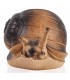 A.A. 3D TARGET SNAIL