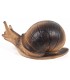 A.A. 3D TARGET SNAIL
