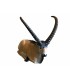 A.A. 3D TARGET IBEX