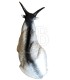 A.A. 3D TARGET MOUNTAIN GOAT