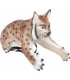 C. POINT CIBLE 3D LYNX GRIMPANT