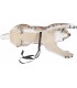 C. POINT CIBLE 3D LYNX GRIMPANT