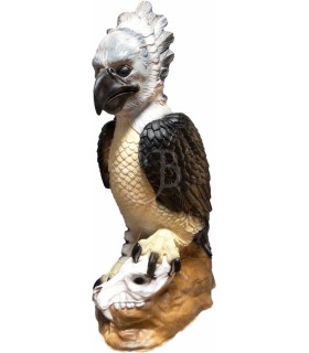 C. POINT 3D TARGET HARPY EAGLE