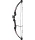 ARCO COMPOUND FIREFOX JR 24-26" 19-29Lbs. BK RH