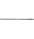 CARBON EXPRESS ARMBRUSTBOLZEN GAME SL.22" 3ST