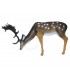 SRT 3D TARGET FALLOW DEER GRAZING