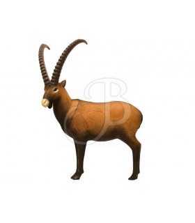 SRT 3D TIER IBEX