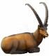 SRT 3D TIER IBEX LIEGEND