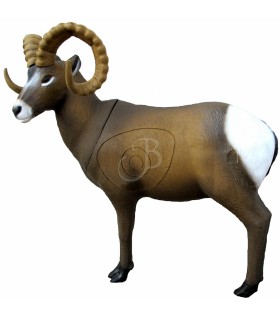 SRT CIBLE 3D MOUTON CANADIEN