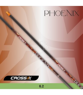 CROSS-X ASTA PHOENIX