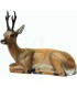 SRT 3D TARGET ROEBUCK BEDDED