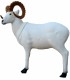 SRT 3D TARGET DALL SHEEP