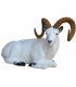 SRT 3D TARGET DALL SHEEP BEDDED