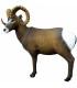 SRT CIBLE 3D MOUTON CANADIEN