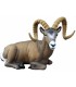 SRT CIBLE 3D MOUTON CANADIEN ASSIS