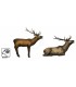 SRT 3D TARGET ELK SET