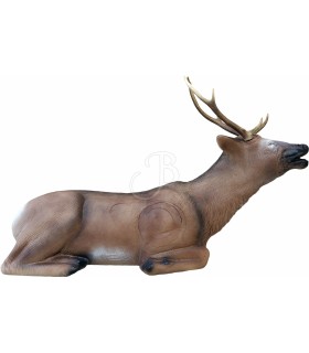 ELEVEN 3D TARGET BEDDED STAG