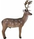 ELEVEN 3D TARGET FOLLOW DEER