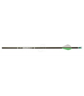 CARBON EXPRESS SHAFT MEDALLION XR OLD