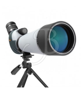 39OPTICS TELESCOPIO 20-60X80 45° + TRIPIEDE