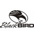 BLACKBIRD FIONDA BUTTERFLY PLASTIC      RD/BL