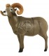 DELTA MCKENZIE 3D PINNACLE BIGHORN SHEEP