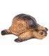 A.A. CIBLE 3D TORTUE