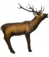 SRT CIBLE 3D CERF ROUGE