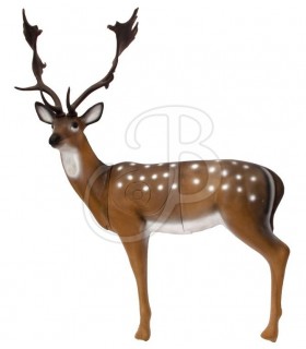 SRT 3D TARGET FALLOW DEER