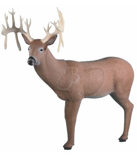 RINEHART 3D 30 POINT BUCK