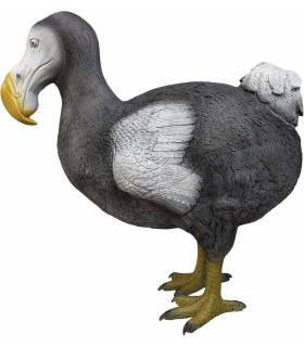 ELEVEN 3D CIBLE DODO