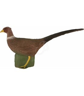 ELEVEN 3D TARGET PHEASANT