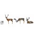 SRT SET 3D TARGET FALLOW DEER