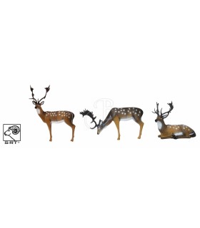 SRT SET 3D TARGET FALLOW DEER