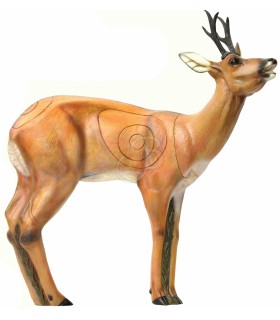 SRT 3D TARGET ROEBUCK VSE