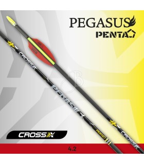 CROSS-X FLECHA PEGASUS PENTA+ AIR