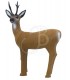 SRT 3D TARGET ROEBUCK