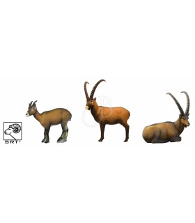 SRT SET 3D TIER IBEX