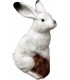 ELEVEN 3D TARGET ARCTIC HARE