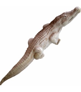 ELEVEN 3D CIBLE CROCODILE