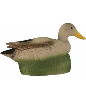 ELEVEN 3D CIBLE CANARD