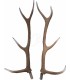 ELEVEN 3D TARGET BEDDED STAG HORNS