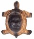 A.A. SAGOMA 3D TARTARUGA
