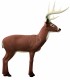 RINEHART 3D 174 BOONER BUCK