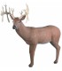 RINEHART 3D 30 POINT BUCK