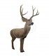 RINEHART 3D WOODLAND MULE DEER