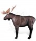 RINEHART 3D MOOSE