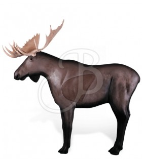 RINEHART 3D MOOSE