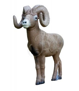 RINEHART 3D BIGHORN SHEEP 1:2 SCALE